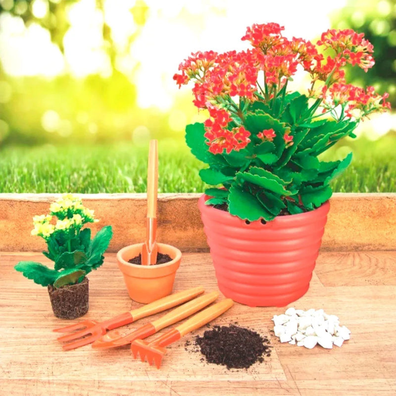 Kit Ferramentas Jardinagem Conjunto 4pc Mini P/ Vaso Pratico