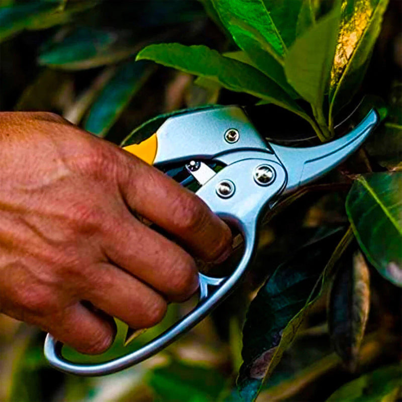 Tesoura De Poda Galhos Com Multiplicador De Força Aço Carbono